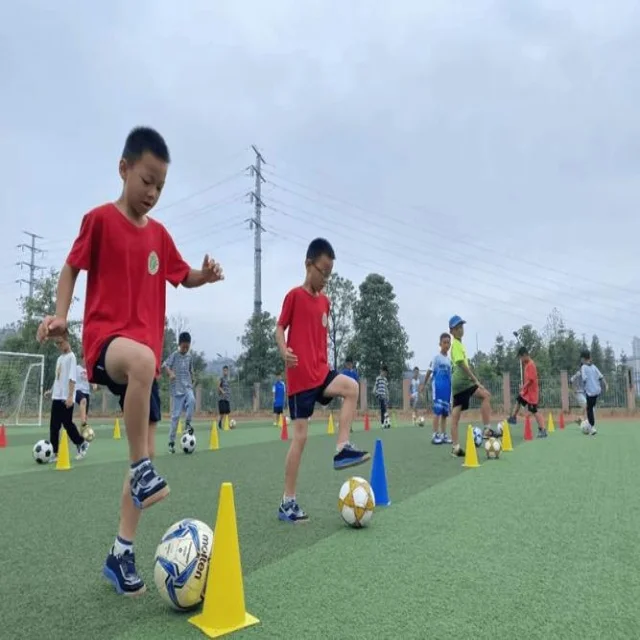 潘展乐百自争冠：泳坛新星的巅峰时刻